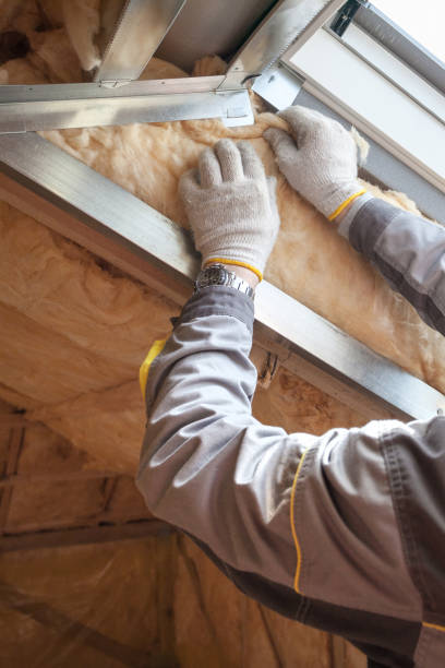 Best Insulation for New Construction  in St Ignace, MI